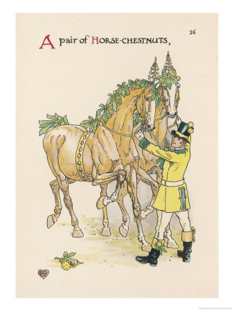 Horse Chestnut Giclee Print Horse Chestnut Giclee Print