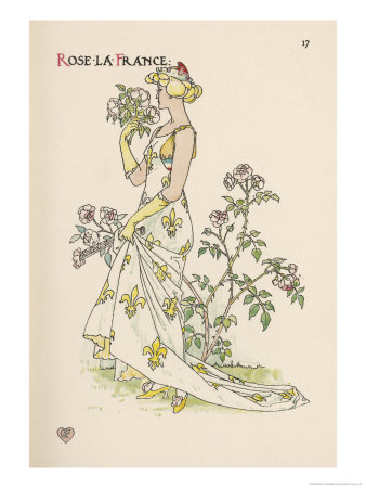 Rose La France Giclee Print Rose La France Giclee Print