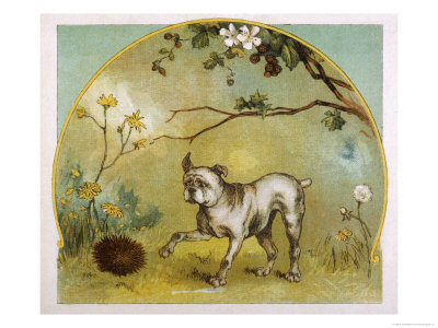 Bulldog with Hedgehog Giclee Print Bulldog with Hedgehog Giclee Print