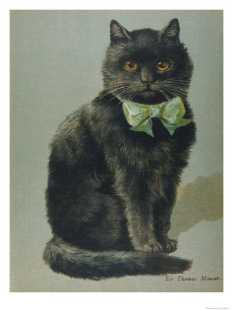 Handsome Black Cat Sir Thomas M...