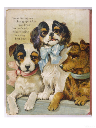 King Charles Spaniel Giclee Print King Charles Spaniel Giclee Print