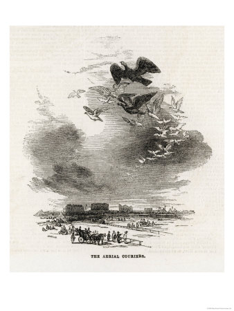 Flight of Pigeons Over Ascot Giclee Print Flight of Pigeons Over Ascot Giclee Print