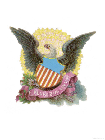The American Eagle Giclee Print The American Eagle Giclee Print