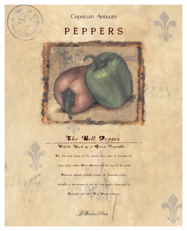 The Bell Pepper Giclee Print The Bell Pepper Giclee Print