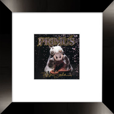 Primus Framed CD Primus Framed CD
