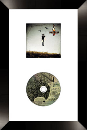 Flyleaf Framed CD Flyleaf Framed CD