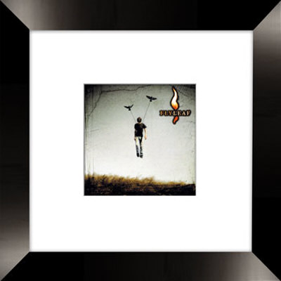 Flyleaf Framed CD Flyleaf Framed CD