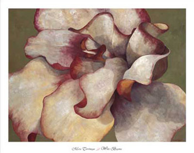 White Begonia Print White Begonia Print