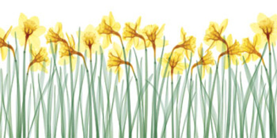 Floral Delight I Print Floral Delight I Print