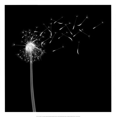 Into the Night II Print Into the Night II Print