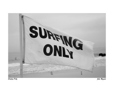 Surfing Only Other Surfing Only Other