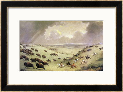 The Buffalo Hunt Framed Print The Buffalo Hunt Framed Print