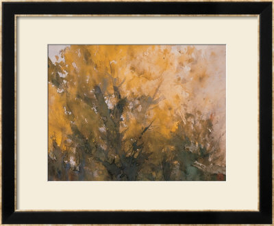 Trees in Autumn Framed Print Trees in Autumn Framed Print