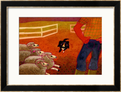 Sheep Dog Trial Framed Print Sheep Dog Trial Framed Print