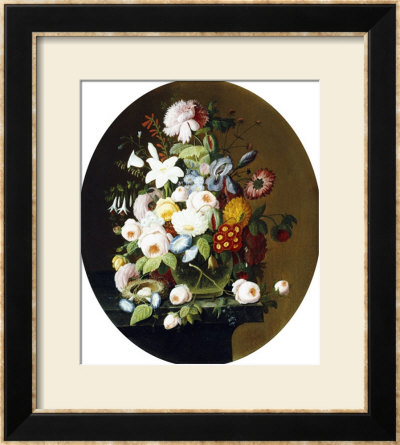 Nature's Bounty II Framed Print Nature's Bounty II Framed Print