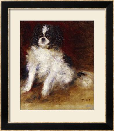 Tama Framed Print Tama Framed Print