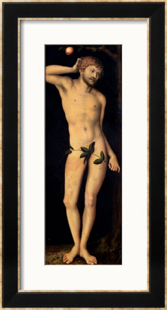 Adam, 1528 Framed Print Adam, 1528 Framed Print