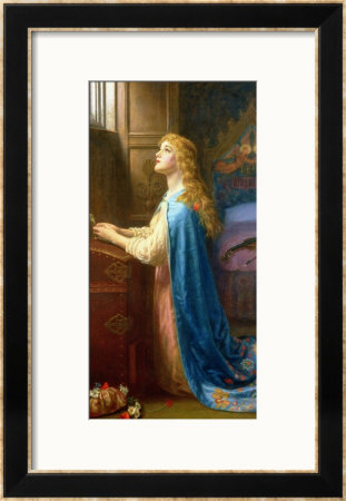 Forget Me Not Framed Print Forget Me Not Framed Print
