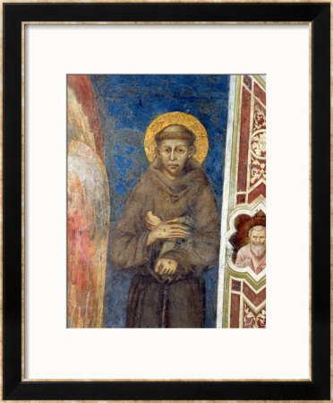 St. Francis Framed Print St. Francis Framed Print