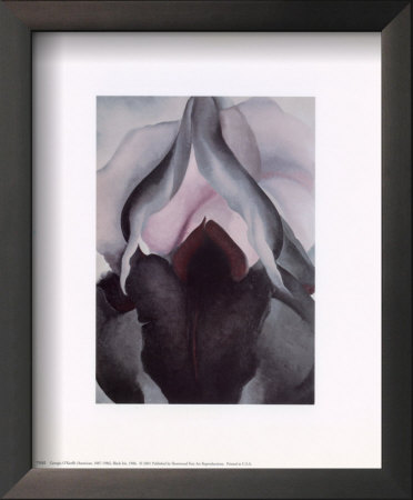 Black Iris Framed Print Black Iris Framed Print