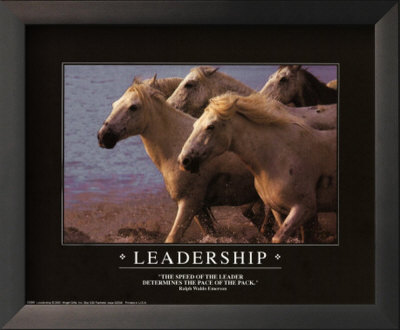 Leadership and Horses Framed Print Leadership and Horses Framed Print