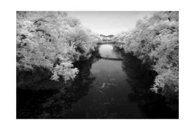 Convergance IR Photographic Print Convergance IR Photographic Print