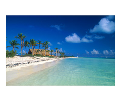 Tropical paradise Photographic Print Tropical paradise Photographic Print