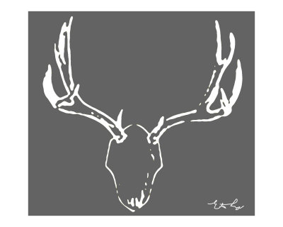 Grey Moose Photographic Print Grey Moose Photographic Print