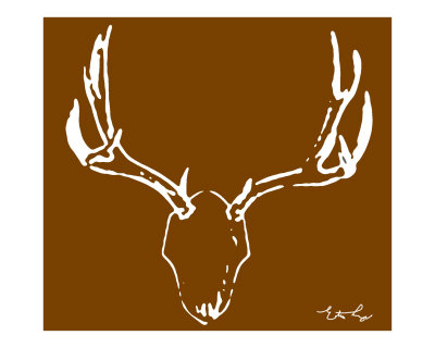 Chocolate Moose Photographic Print Chocolate Moose Photographic Print