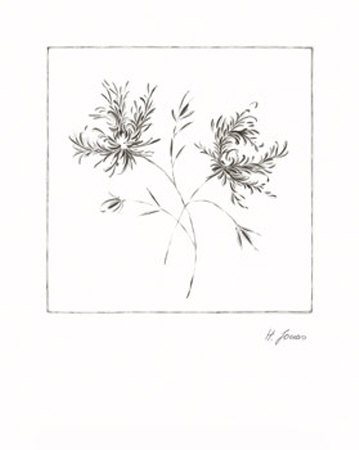 Wispy Flowers II Print Wispy Flowers II Print
