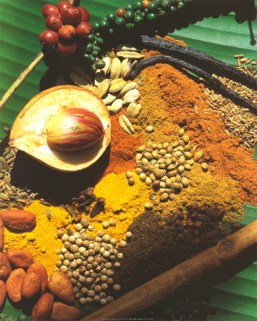 Spices Print Spices Print