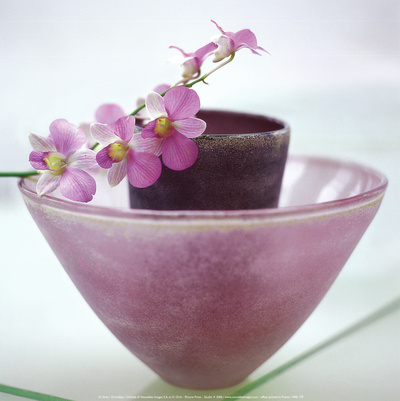 Orchids Print Orchids Print