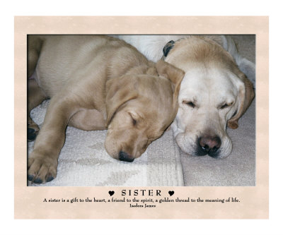 Sister Photographic Print Sister Photographic Print
