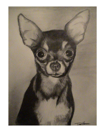 Chihuahua Giclee Print Chihuahua Giclee Print