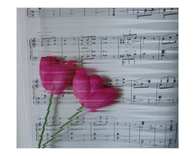 Dancing Notes Photographic Print Dancing Notes Photographic Print