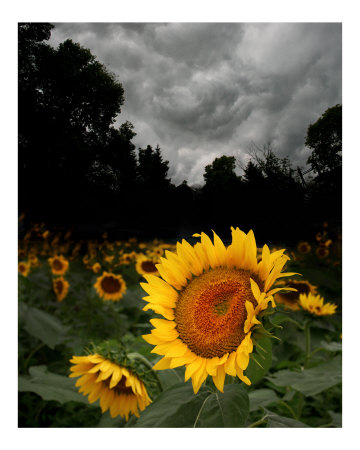 August storm Photographic Print August storm Photographic Print