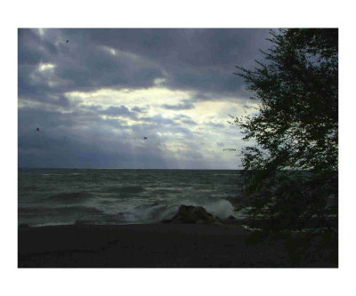 Lake Erie Photographic Print Lake Erie Photographic Print