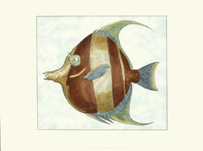 Angel Fish II Print Angel Fish II Print