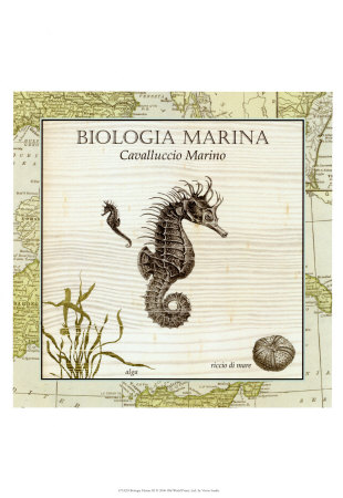 Biologia Marina III Print Biologia Marina III Print