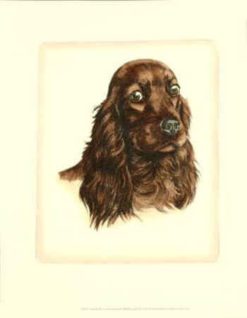 Red Cocker Spaniel Print Red Cocker Spaniel Print
