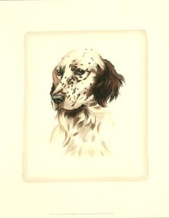Setter Print Setter Print