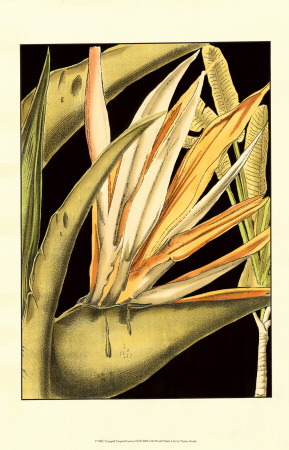 Tranquil Tropical Leaves III Print Tranquil Tropical Leaves III Print