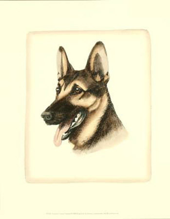 German Shepard Print German Shepard Print