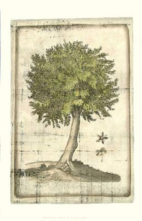 Fruitful Realm I Print Fruitful Realm I Print