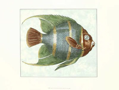 Angel Fish I Print Angel Fish I Print