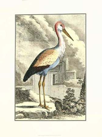Antique Heron Print Antique Heron Print