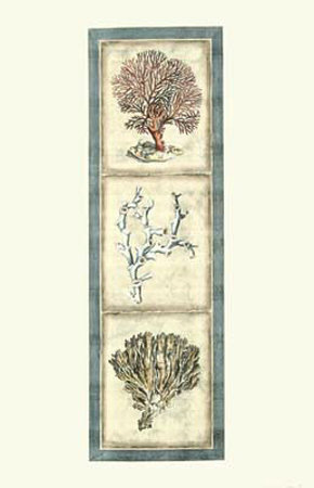 Exotic Coral Panel II Print Exotic Coral Panel II Print