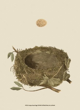 Antique Nest and Egg I Print Antique Nest and Egg I Print