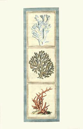 Exotic Coral Panel I Print Exotic Coral Panel I Print