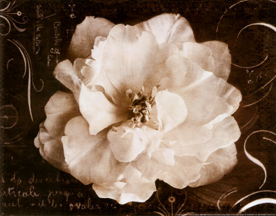 Garden Journal II Print Garden Journal II Print